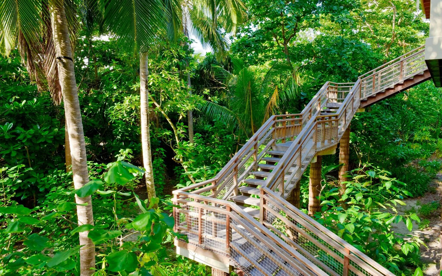 Amilla-Fushi-Treetop-Pool-Villa-Staircase